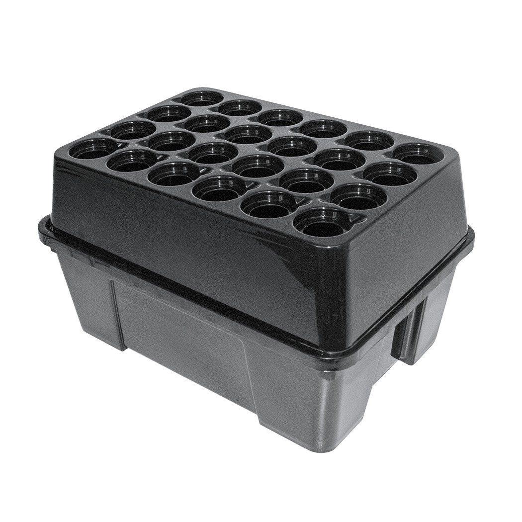 Plant!t Clone 24