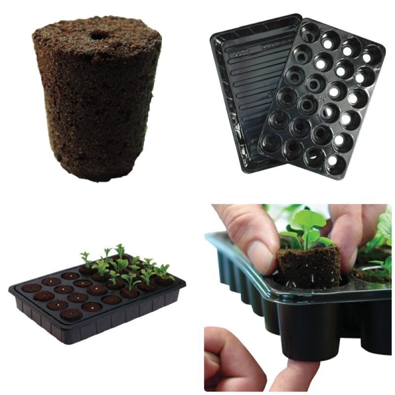 ROOT IT Natural Rooting Sponge 24 Cell Filled Trays- BOX 8ks