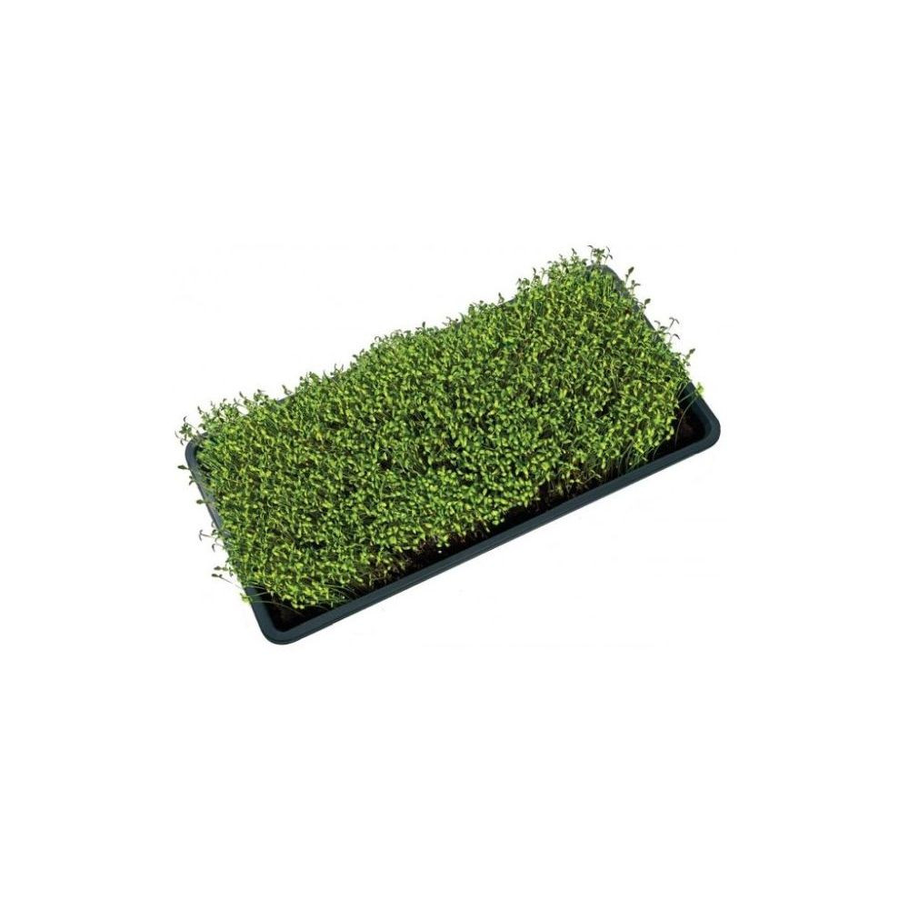 Garland Microgreens Tray 56x28x3 cm, podmiska černá s drenáží