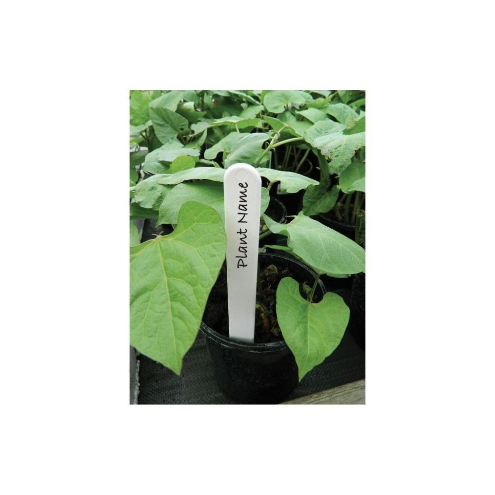 Garland Plant Label, 15 cm bílé štítky popisovací 25 ks