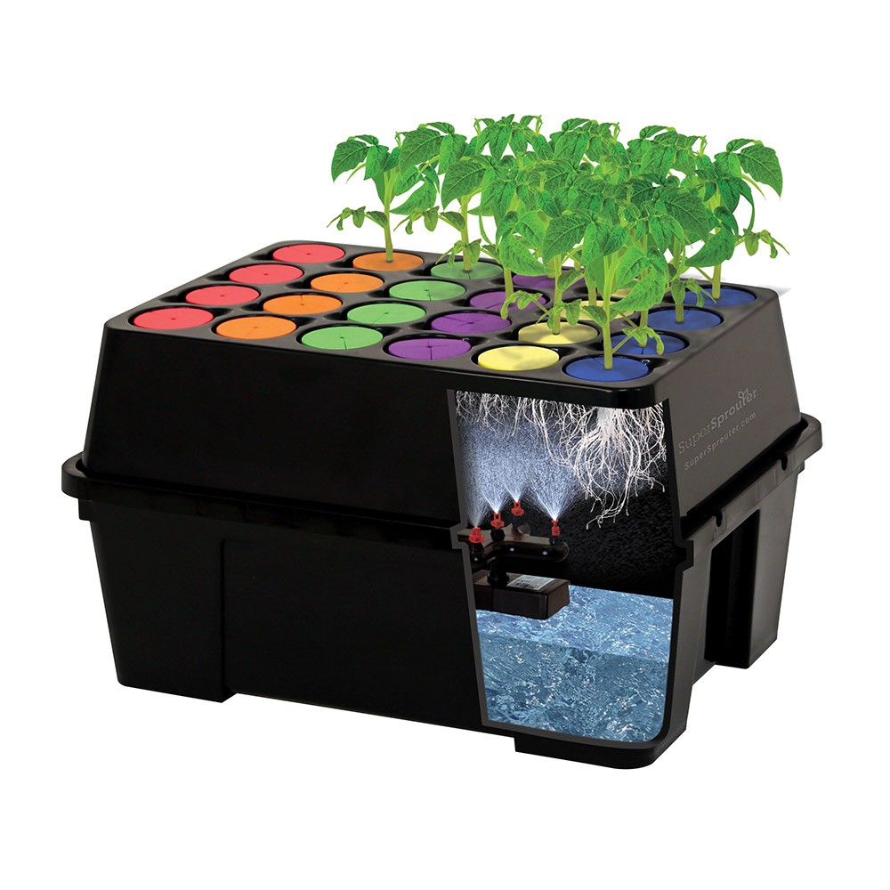 Plant!t Clone 24