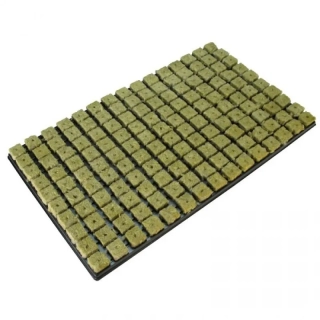 Grodan 25x25x40 mm, sadbovací kostky s dírou a sadbovačem 150 ks
