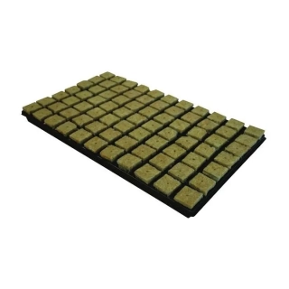 Grodan 36x36x40 mm, sadbovací kostky s dírou a sadbovačem 77 ks, BOX 18 KS